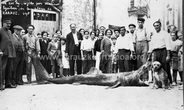 Pescado de 200 kilos