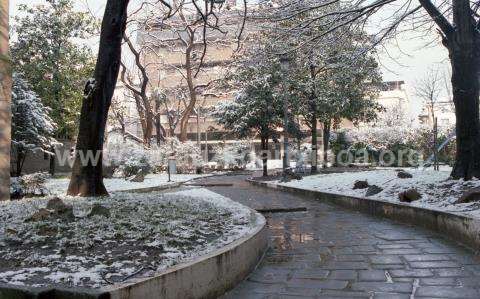 Zarautz nevado