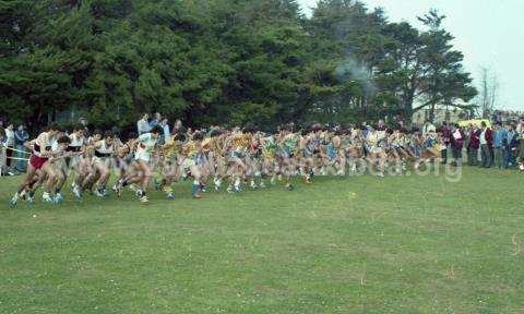 Campeonato de España de Cross