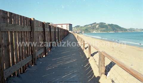 Pasarela de madera sobre las dunas