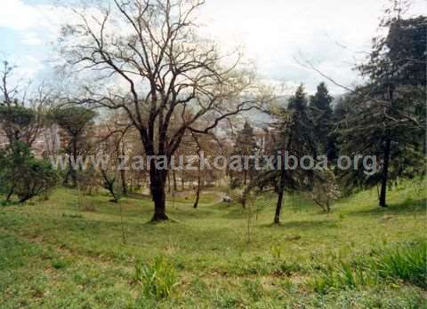 Vista Alegre auzoko torreoia