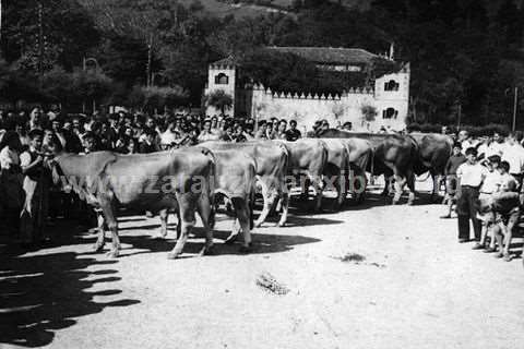 Feria de ganado en Munoa Plaza de Zarautz