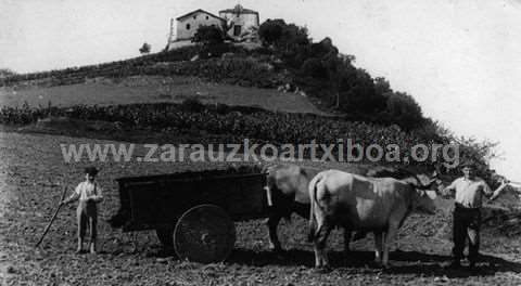 Abeltzaina soroan lanean, idiek tiratutako gurdi batekin