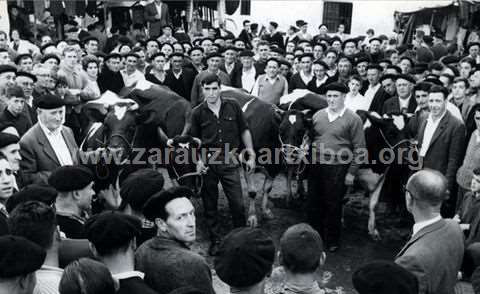 Udal Aurrezki Kutxaren aurrezte-sariak. Behien zozketa Zarautzen