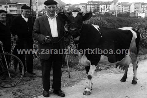 Premios al ahorro. Sorteo de vacas en Zarautz