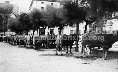 Concurso de ganado en Nafarroa kalea de Zarautz