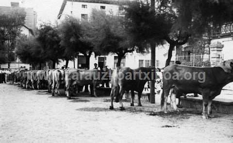 Ganadu-lehiaketa Zarauzko Munoa Plazan