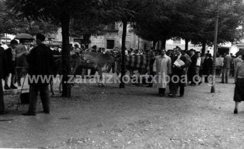 Concurso de ganado en Lege Zaharren Enparantza