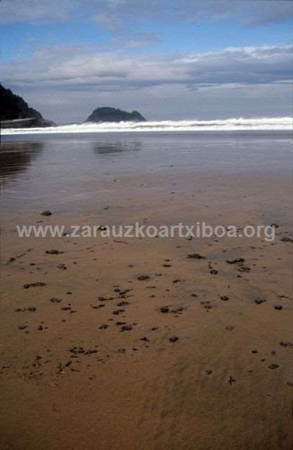 Txapapote en la playa de Zarautz