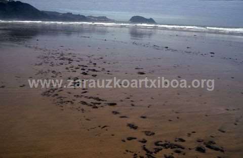 Txapapote en la playa de Zarautz