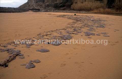 Txapapote en la playa de Zarautz