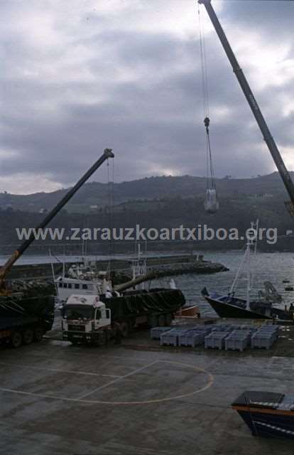 Txapapote en la costa de Zarautz