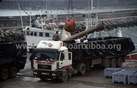 Txapapote en la costa de Zarautz