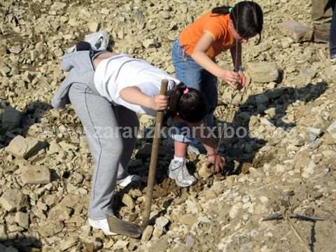 Día del Arbol