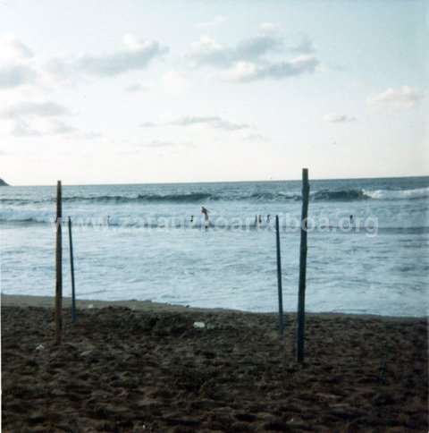 Historia del surf en Zarautz