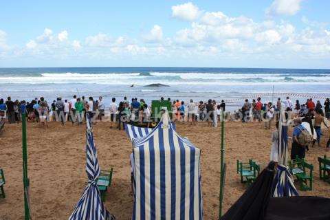 Ballena aparecida en la playa