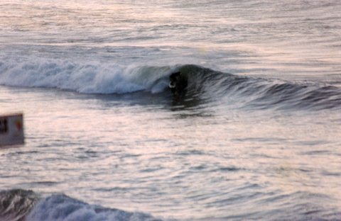 Historia del surf en Zarautz